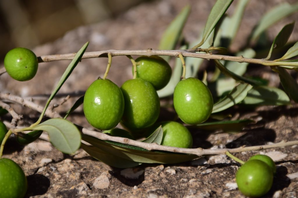 Olive da confetto